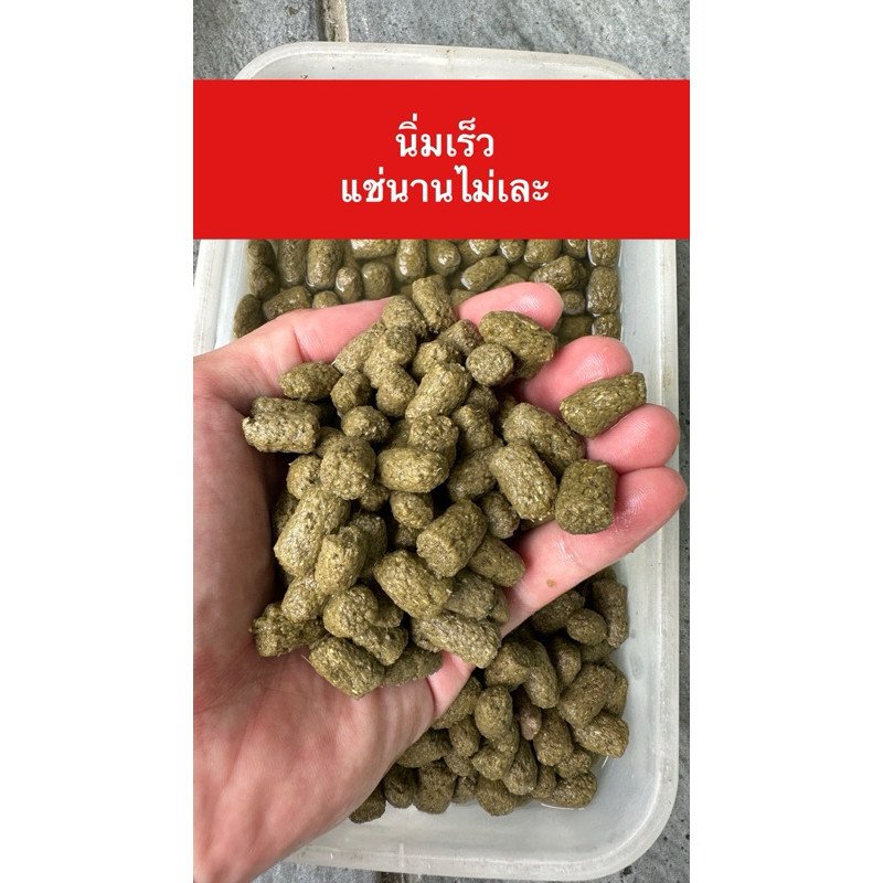 ส่งไว INCH GOLD อาหารเต่าบก 2.5 กิโลกรัม ผลิตปีนี้ - Image 4