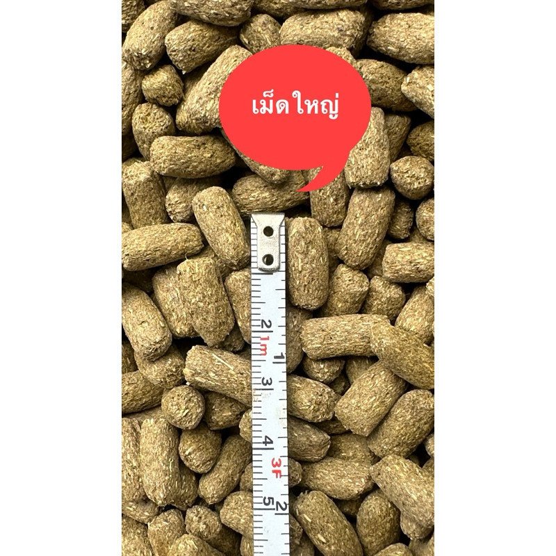 ส่งไว INCH GOLD อาหารเต่าบก 2.5 กิโลกรัม ผลิตปีนี้ - Image 3