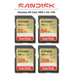 SanDisk Extreme SD Card
