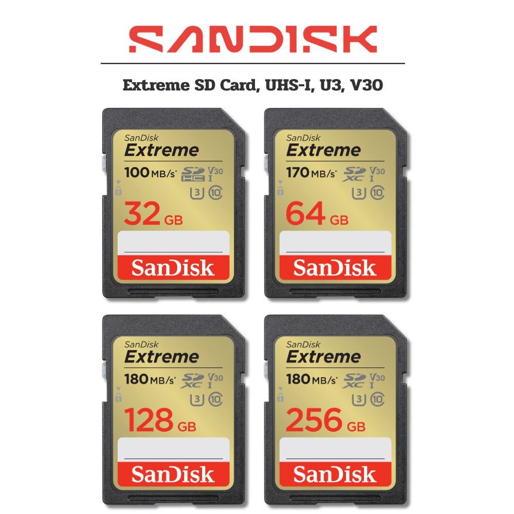 SanDisk Extreme SD Card